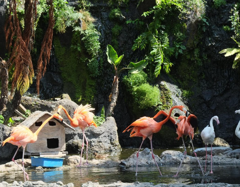 Jawa Timur Park, Indonesia
